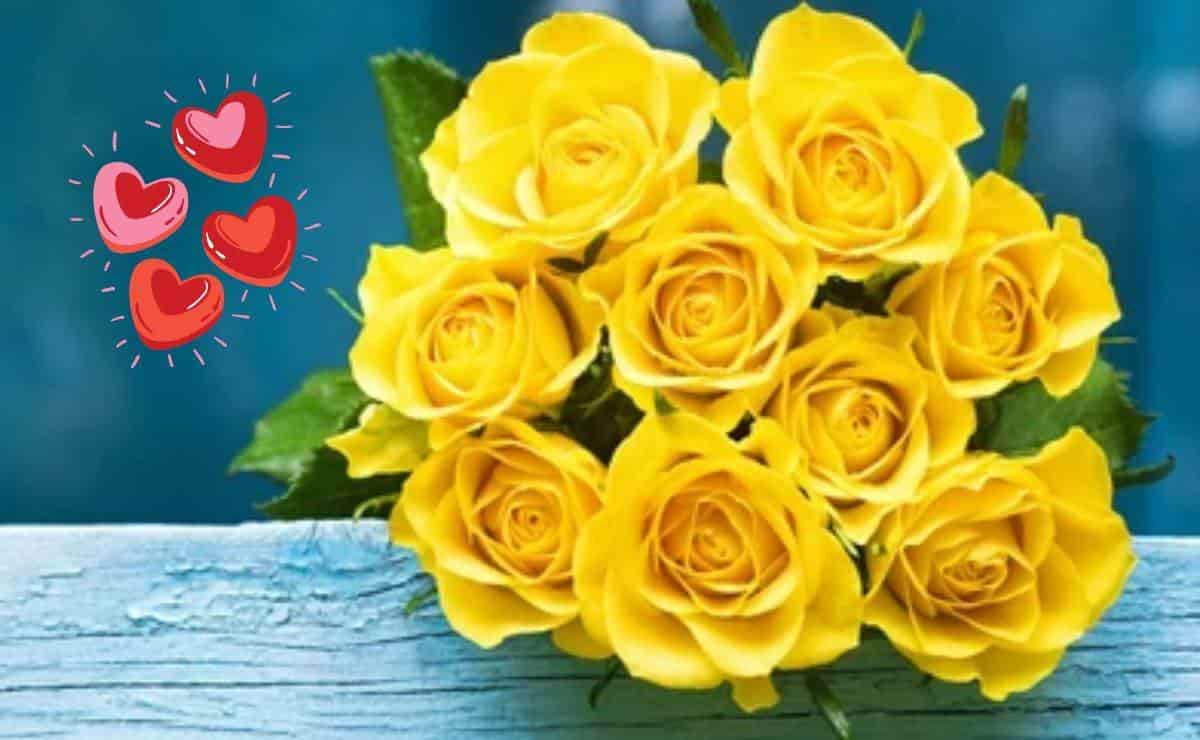 ¿Por qué no debes regalar rosas amarillas el 14 de febrero, día de San Valentín?