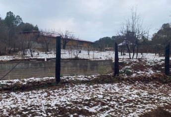 ¡Un espectáculo! Nieva en Santa Gertrudis, Badiraguato 