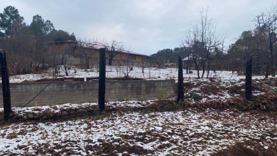 ¡Un espectáculo! Nieva en Santa Gertrudis, Badiraguato 