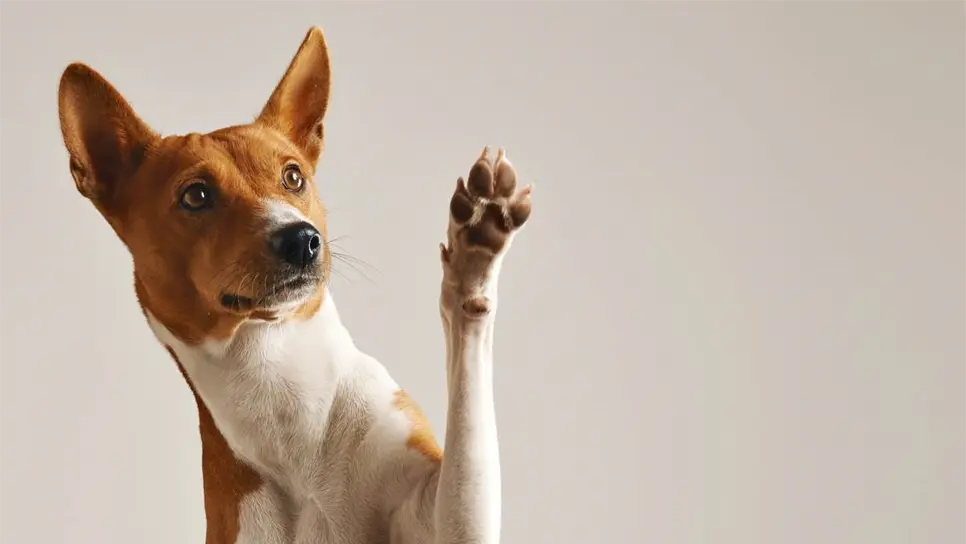 FOTO: Cortesía/FreePik.