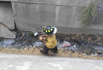 Bomberos rescatan a perrito atrapado en un canal en Mazatlán