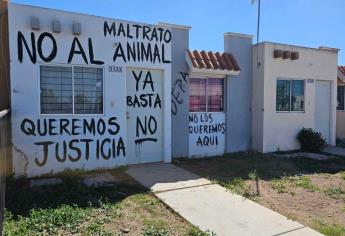 Acusan de «mataperros» a mujer de Los Mochis; le pintan la casa en protesta