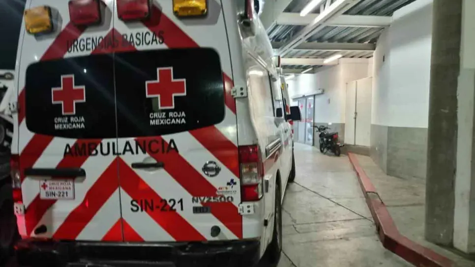 8 personas son atacadas por un enjambre de abejas en Culiacán 8 personas son atacadas por un enjambre de abejas en Culiacán