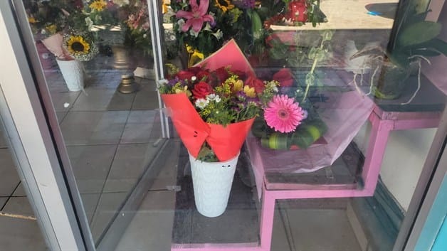 Imagen Placeholder Imagen Placeholder