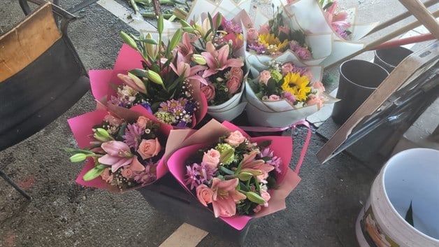 Imagen Placeholder Imagen Placeholder