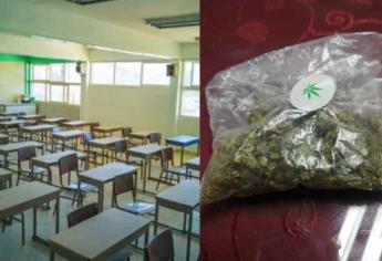 Tras localización de marihuana, hay 3 escuelas en foco rojo en Ahome: Seguridad Pública 
