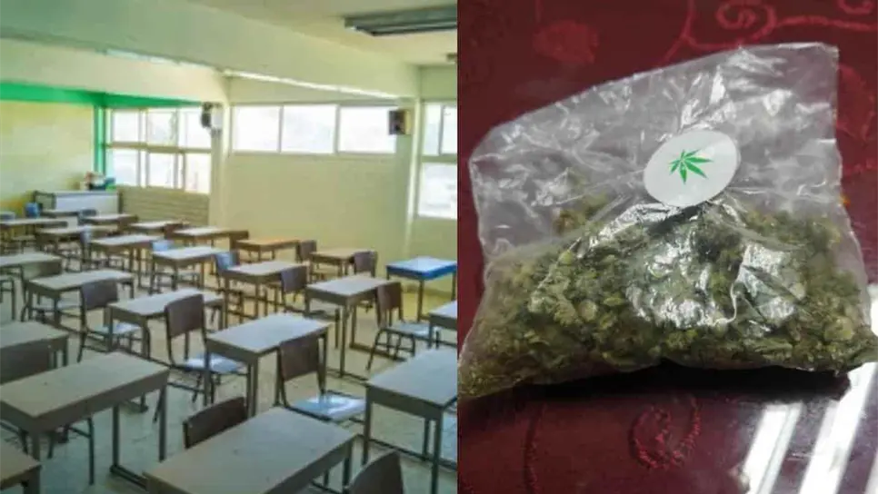 Tras localización de marihuana, hay 3 escuelas en foco rojo en Ahome: Seguridad Pública