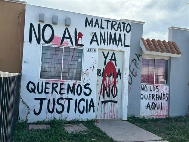 Imagen Placeholder