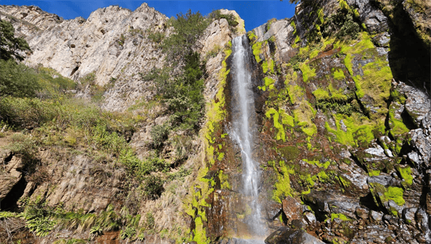 Imagen Placeholder Imagen Placeholder