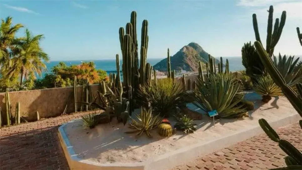 FOTO: Cortesía Observatorio1873.