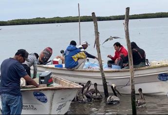 Pescador indígena abandona sueño de ser ingeniero por crisis ante importación ilegal de camarón 