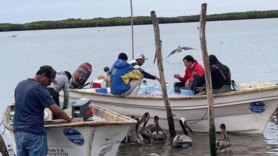 Pescador indígena abandona sueño de ser ingeniero por crisis ante importación ilegal de camarón 