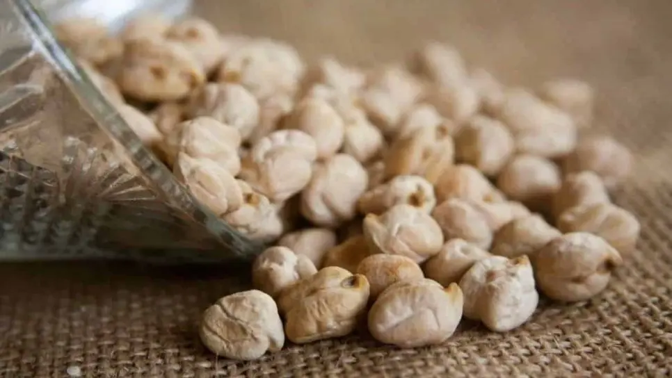 Productores de garbanzo piden ser incluidos en programa de fertilizantes