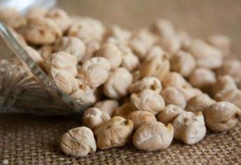 El 25 % del garbanzo en Culiacán no cuenta con permiso de siembra 