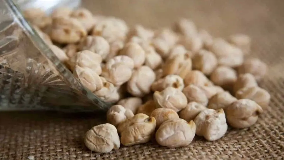 El garbanzo es uno de los productos que más se siembra en Sinaloa. FOTO: Cortesía