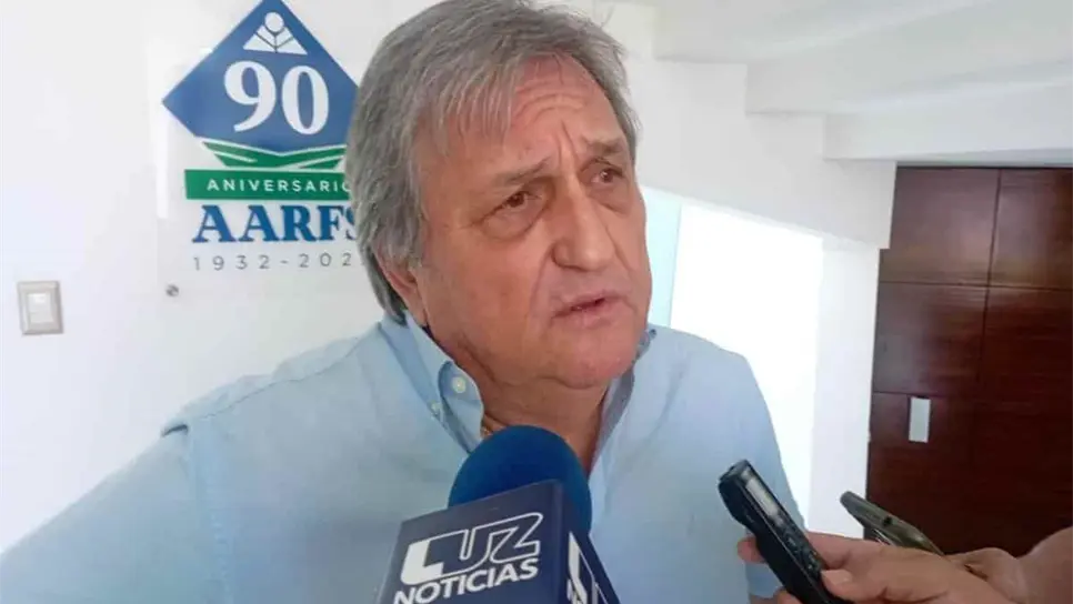 Productores de Sinaloa buscan frenar caída del precio del frijol