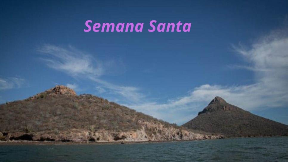 Festival Navachiste en La Isla de Los Poetas: Un paraíso natural en Sinaloa para Semana Santa