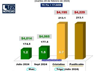 Trigo GANA 6.7 dólares en Bolsa de Chicago