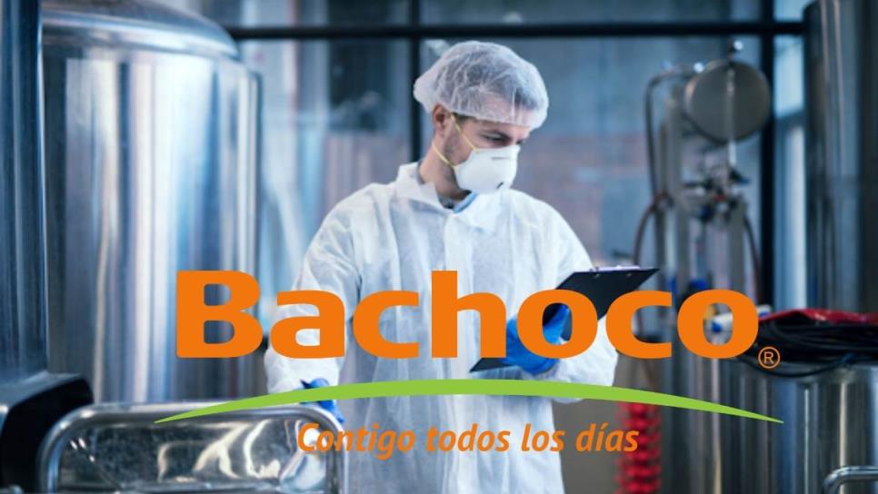 Bachoco ofrece vacante en Culiacán con sueldo de 15 mil pesos y prestaciones