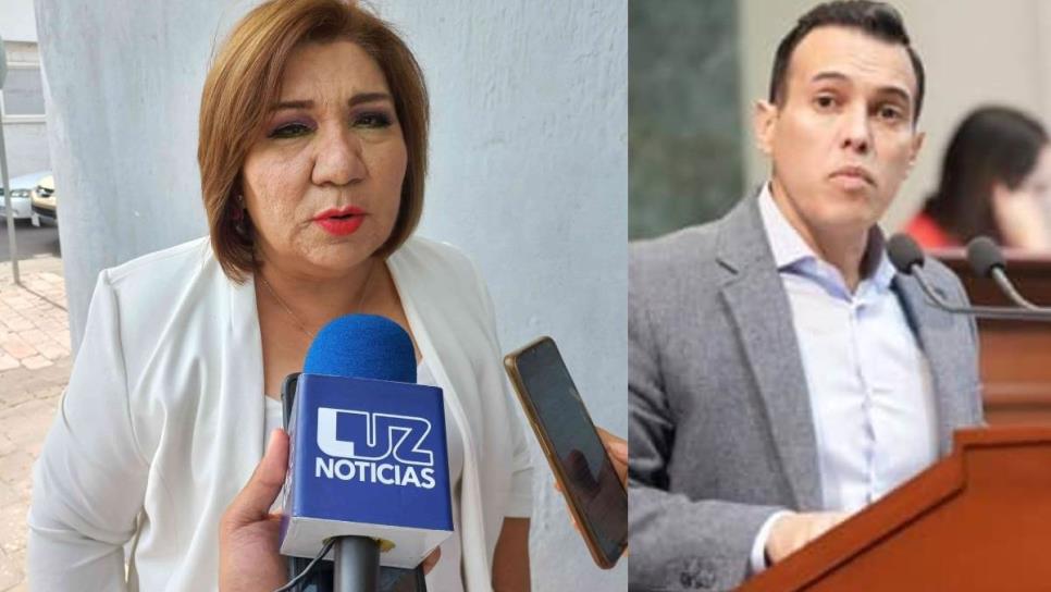 Jesús Ibarra ganó la candidatura Diputación Federal por nepotismo: María Inés Perez 
