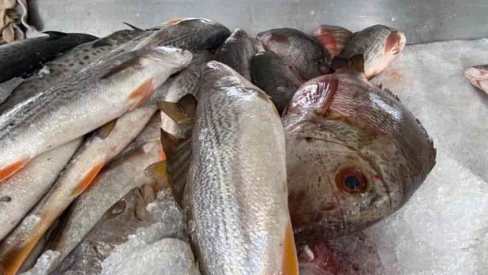 ¿Cuántos días se puede conservar el pescado en el refrigerador?