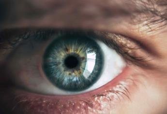 Cáncer de retina: cómo detectarlo con una simple foto