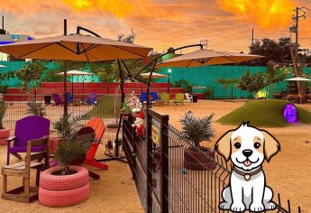 Conoce el primer parque canino en Culiacán; precios, horarios y servicios