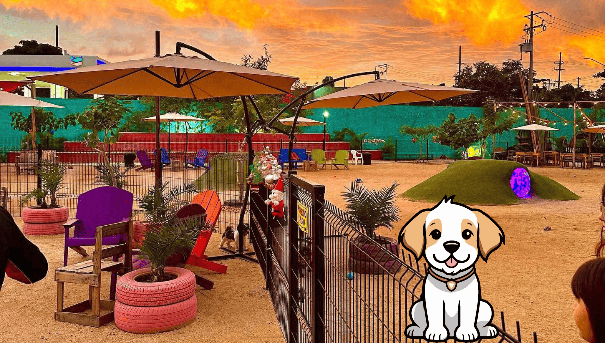 Este parque es ideal para llevar a tus perros a que convivan y sean adiestrados. FOTO: Facebook/ Parque Canino Balanseer.