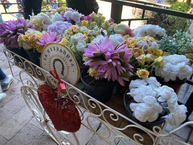 Imagen Placeholder Imagen Placeholder