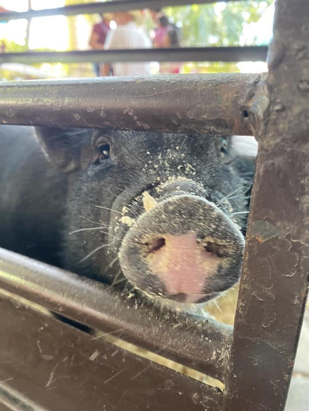 Imagen Placeholder Imagen Placeholder