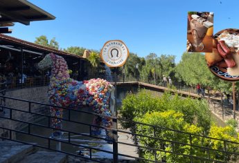 Este es el restaurante más visitado por las familias en Culiacán