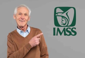 Estas son las pensiones del IMSS que se pueden reclamar en 2024