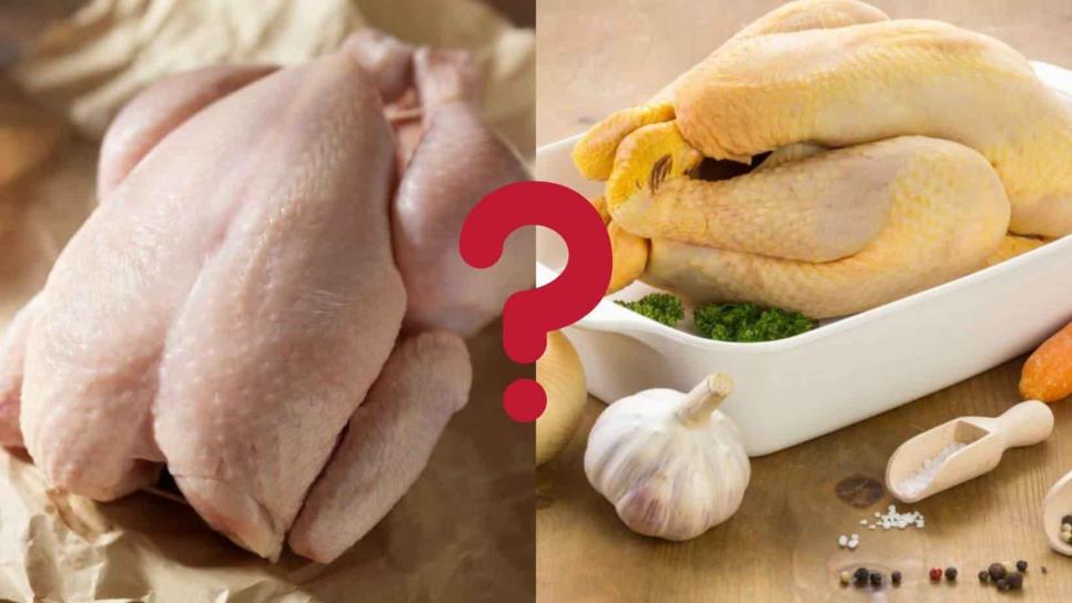 Pollo blanco o amarillo: ¿Cuál es el más saludable?