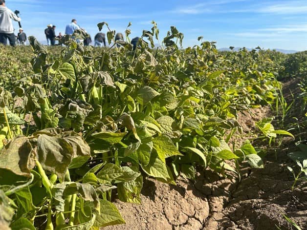 Imagen Placeholder Imagen Placeholder