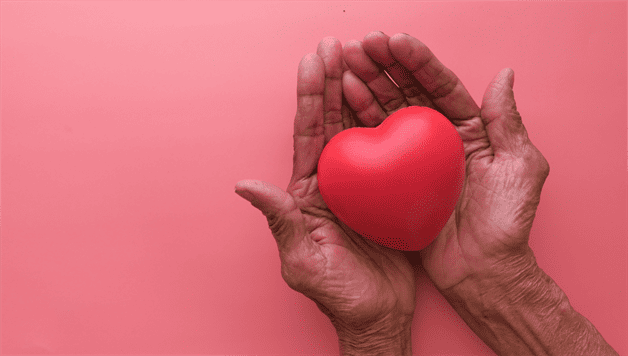 Imagen Placeholder Imagen Placeholder