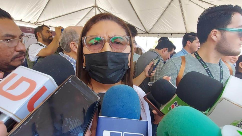 Amalia Gastelum solicitará licencia ante Congreso del Estado