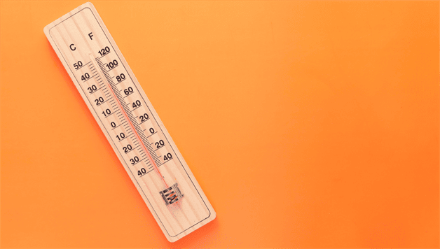 Imagen Placeholder Imagen Placeholder