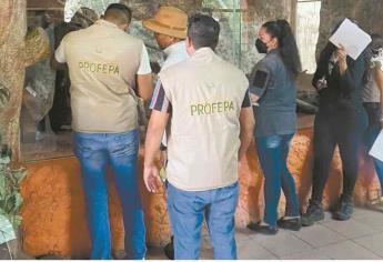 Profepa lanza vacante con sueldo de más de 30 mil pesos