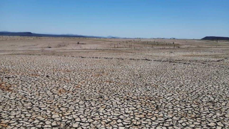 Sequía en México: analizan solicitar declaratoria de emergencia para 11 estados