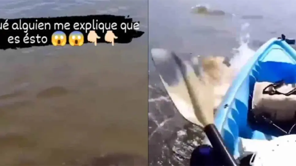 FOTO: Misteriosas criaturas atacan a hombre.