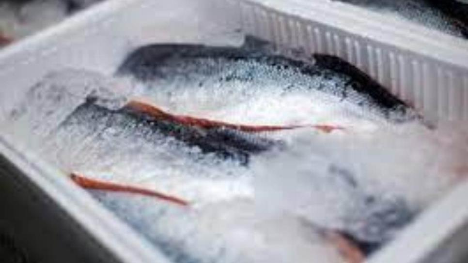 Fraude en Cuaresma: Venden hielo por pescados y mariscos, según Oceana