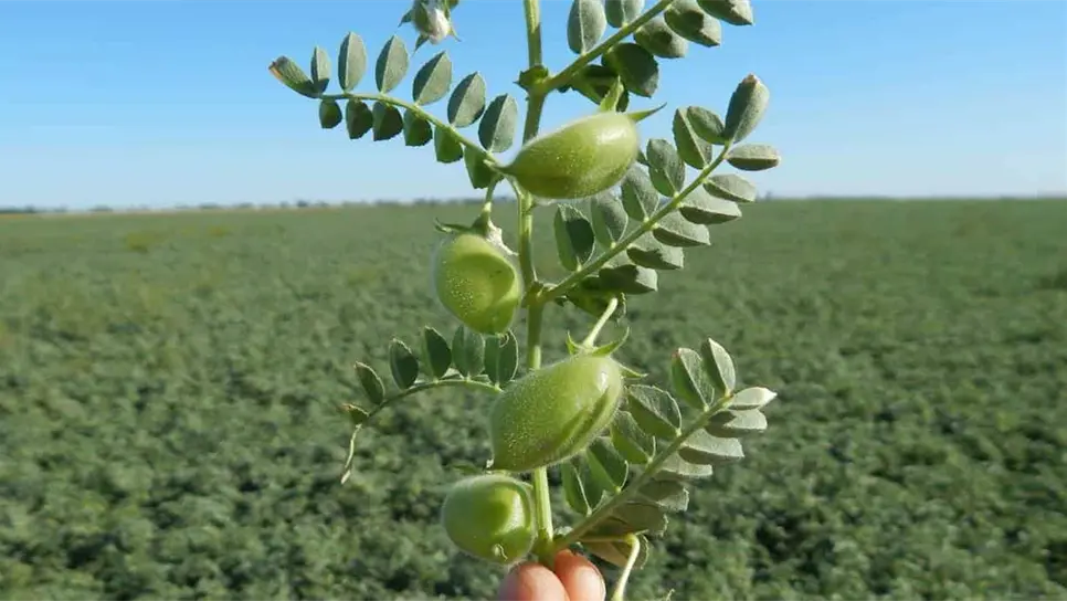 FOTO: Esthela García.