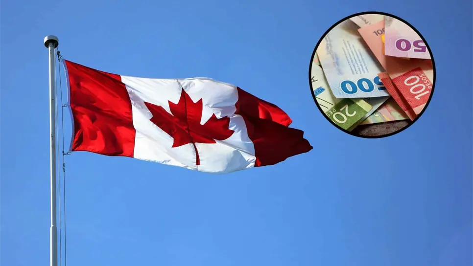 Foto: Pexels/Freepik