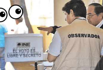 INE: ¿quieres ser un Observador Electoral?