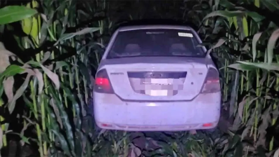 Localizan a un hombre sin vida dentro de un vehículo entre las milpas en Guasave. | FOTO: Cortesía.