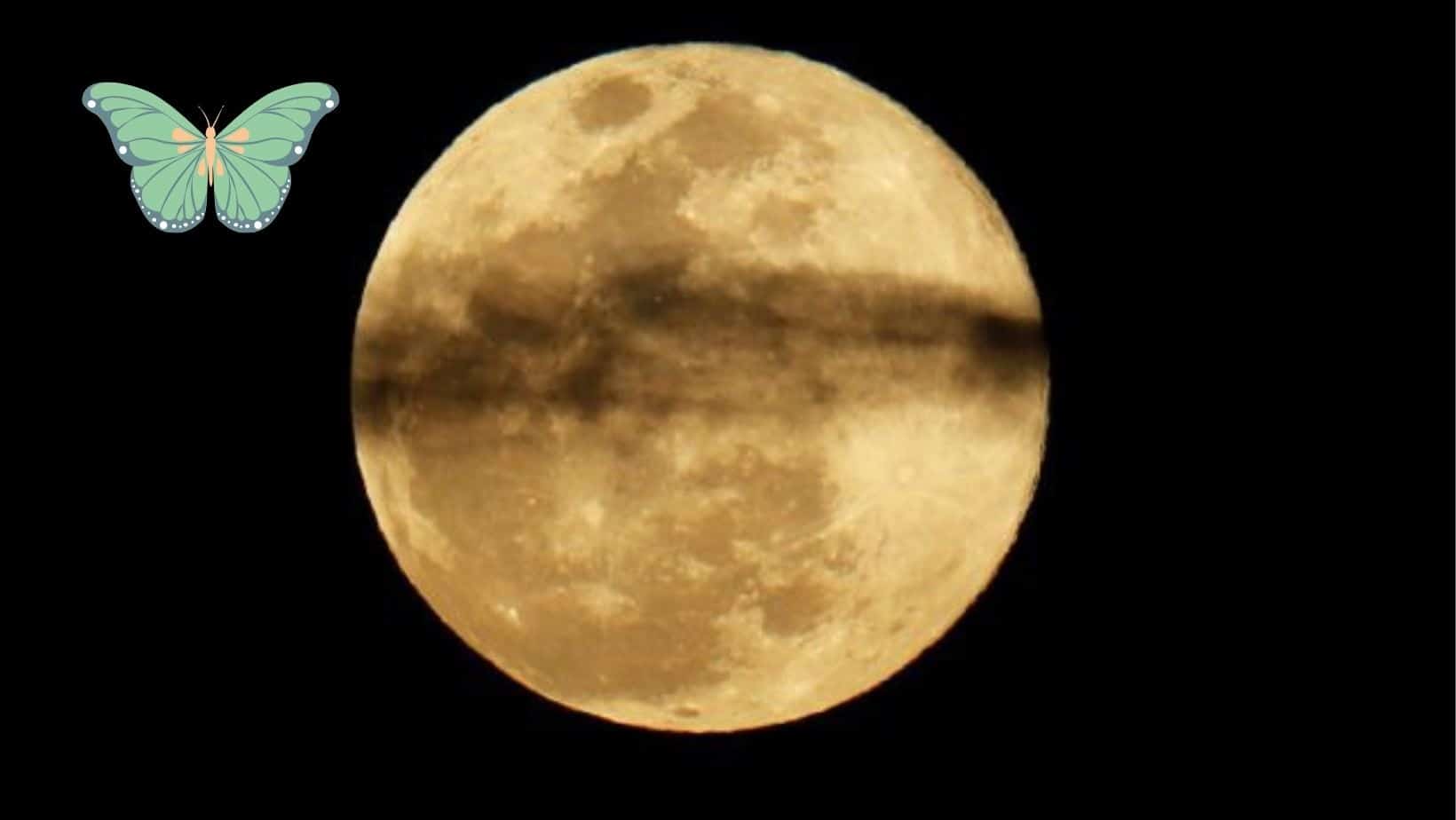 Luna de Gusano. | FOTO: Temática.