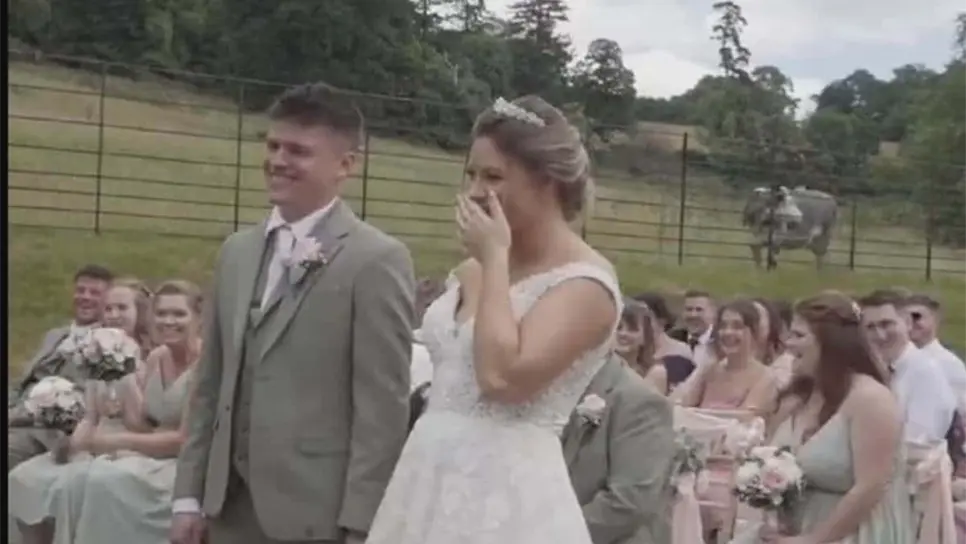 ¿Y vives en un rancho? Vaca interrumpe una boda y se vuelve viral | VIDEO 
