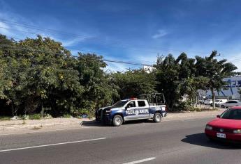 Localizan restos humanos al interior de una vivienda de cartón en Mazatlán