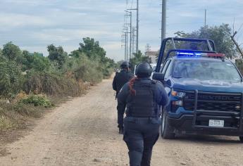 Despojan tres vehículos la noche del domingo en Culiacán