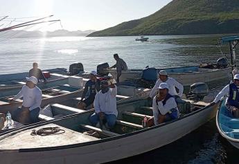 Veda electoral no frenará la vigilancia de la veda del camarón en Sinaloa